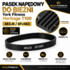 ALT: Profil PJ i 6 rowków paska napędowego York Fitness Heritage T100