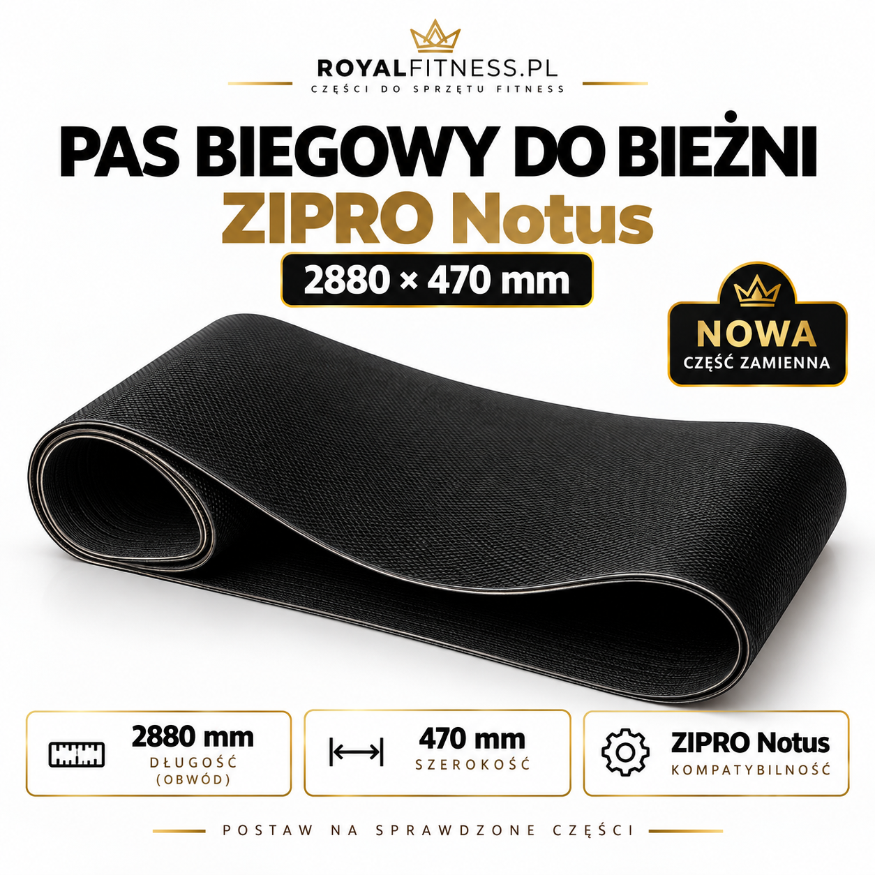 Pas do bieżni ZIPRO Notus – kompatybilność Pas biegowy kompatybilny z bieżnią ZIPRO Notus