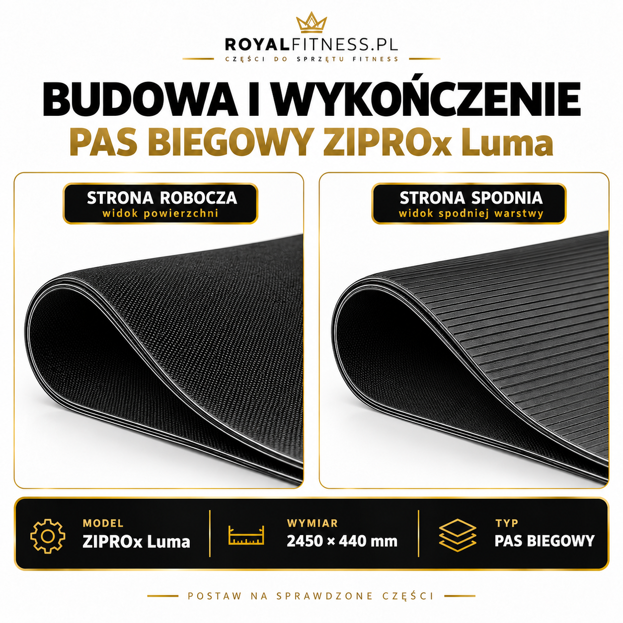 Pas biegowy ZIPRO Luma 2450 × 440 mm Pas biegowy do bieżni ZIPRO Luma 2450 × 440 mm