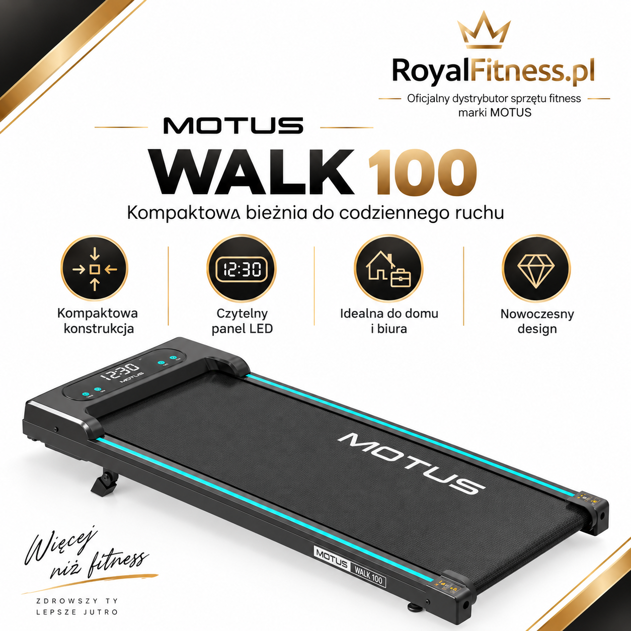 motus-walk-100-01-prezentacja
